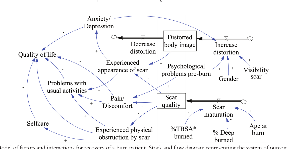 Figure 2. Model of factors and interactions for recovery of a burn patient.