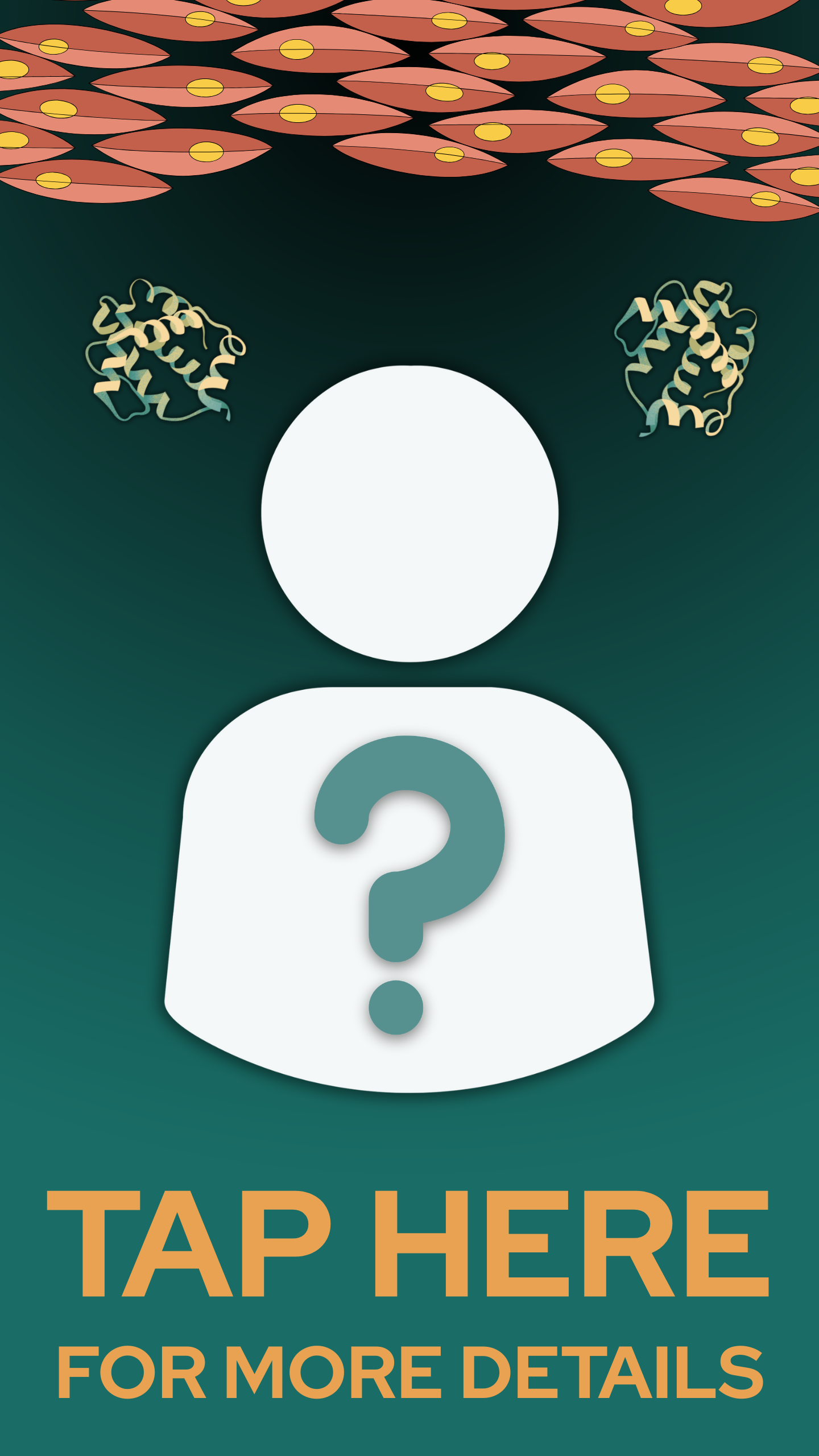 Molecular Dynamics simulations